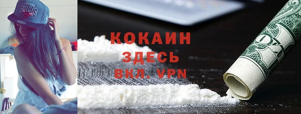 индика Армянск