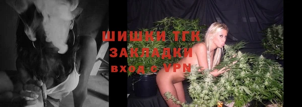индика Армянск