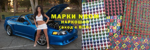 индика Армянск