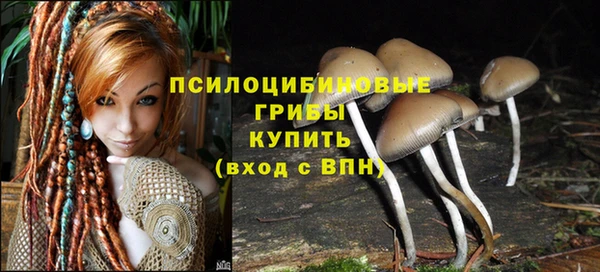 индика Армянск