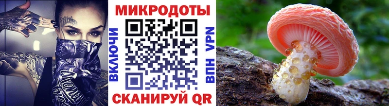 Псилоцибиновые грибы Cubensis  Железногорск 